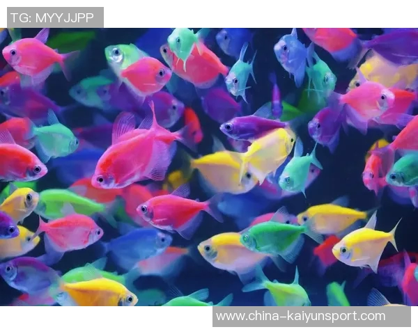 今日趣图：探讨鱼缸中的咸水鱼与淡水鱼共存的可能性与挑战